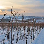 Hotell Dorint Alzey/worms 4*