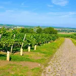 Dorint Alzey/worms Hotell Alzey