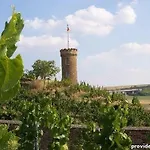 Dorint Alzey/worms 4*