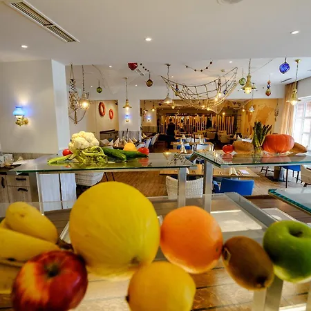 Dorint Alzey/worms 4* アルツァイ