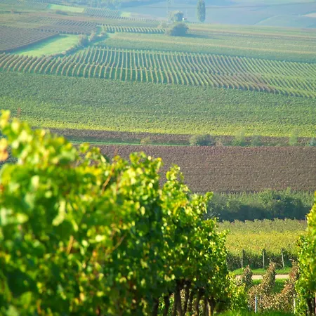 Dorint Alzey/worms ホテル アルツァイ