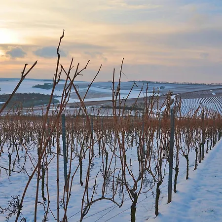 ホテル Dorint Alzey/worms 4*