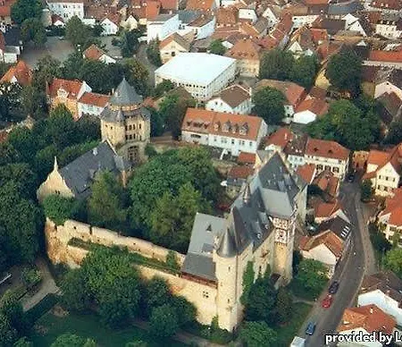 ホテル Dorint Alzey/worms 4*