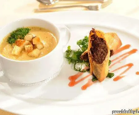 ホテル Dorint Alzey/worms 4*