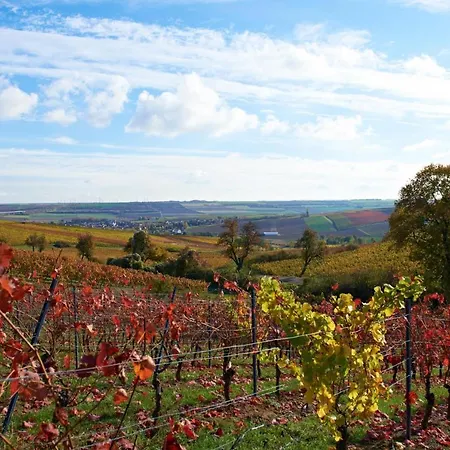 ホテル Dorint Alzey/worms 4*