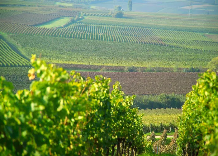 Dorint Alzey/worms Hotel Alzey