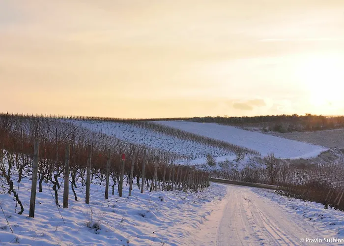 Hotel Dorint Alzey/worms Alzey