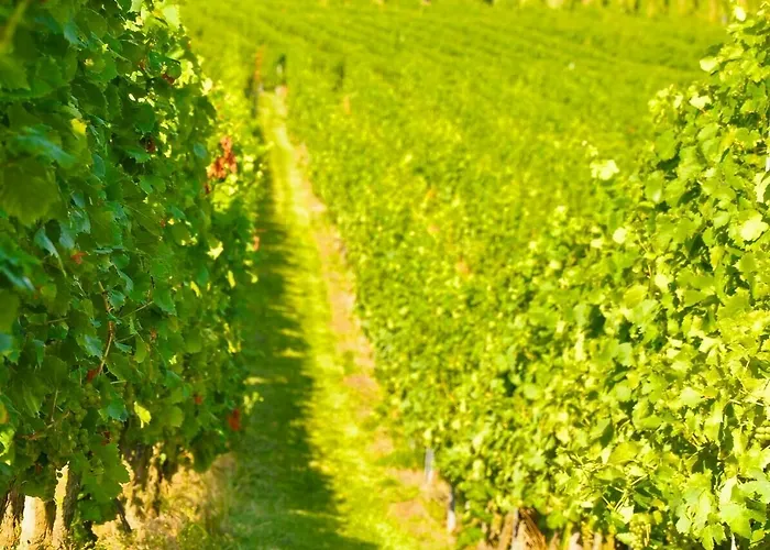 Dorint Alzey/worms 4* Alzey