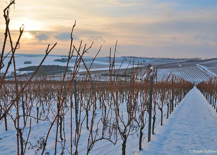 Hotel Dorint Alzey/worms 4*