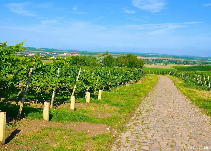 Dorint Alzey/worms Hotel Alzey