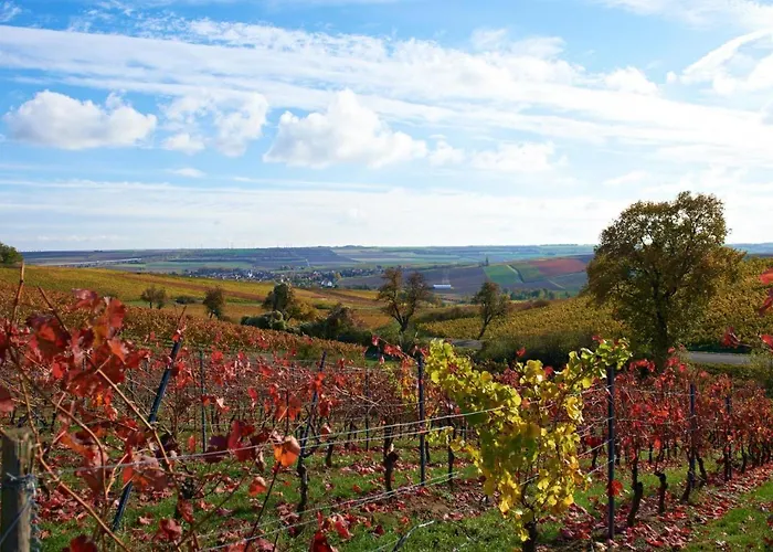 Hotel Dorint Alzey/worms 4*